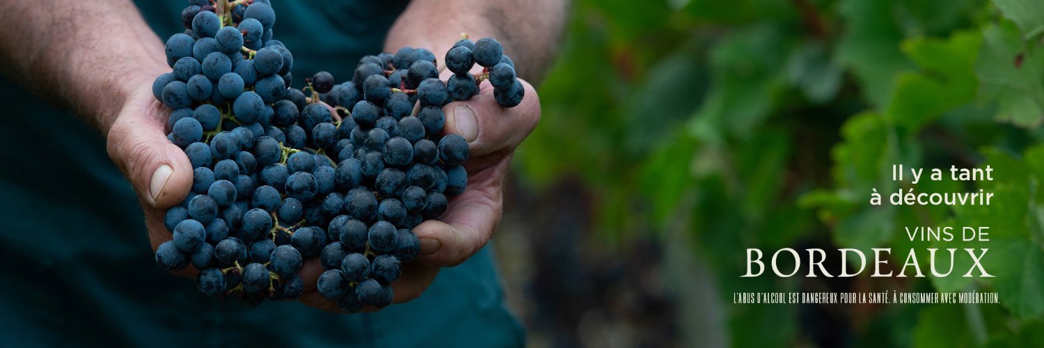 VinsdeBordeaux's profile banner image