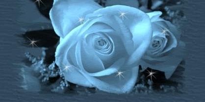 Chaplain Jamillah banner