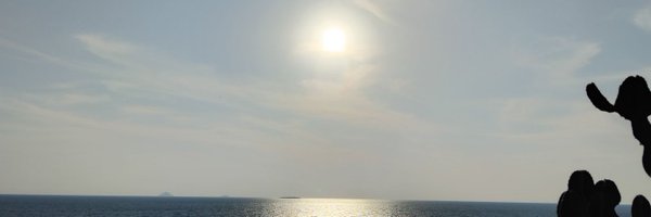 Brendahphillip Profile Banner