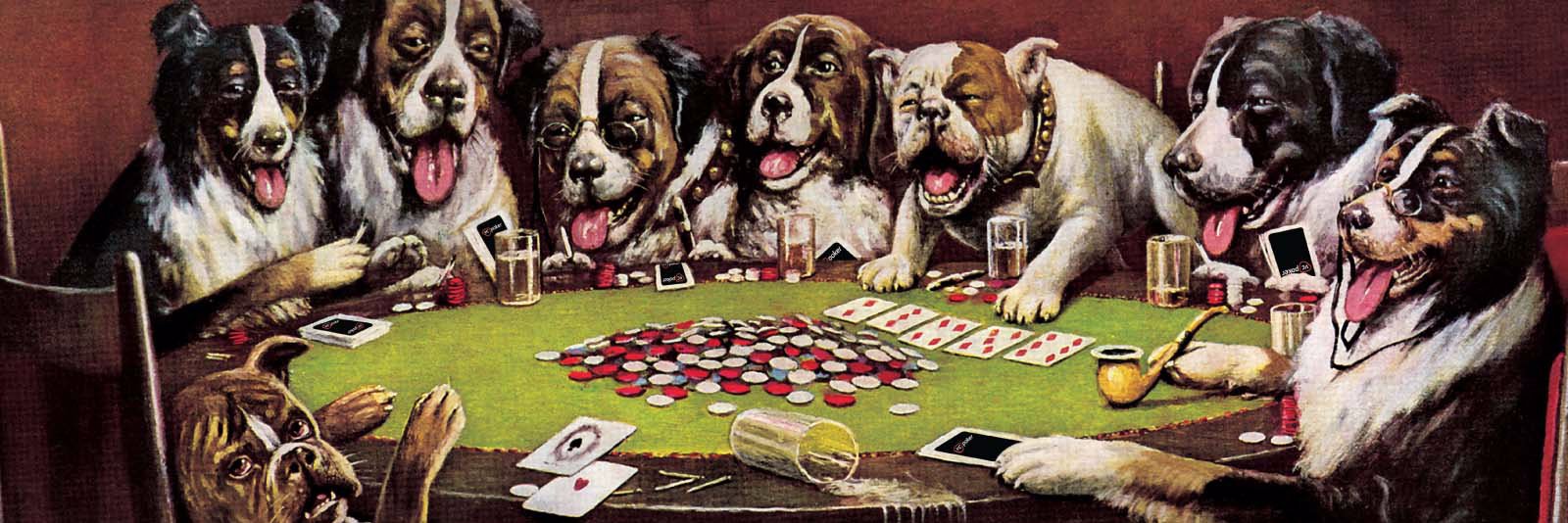 torugopokersp's profile banner image