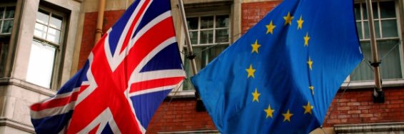 Brexit Buster's banner