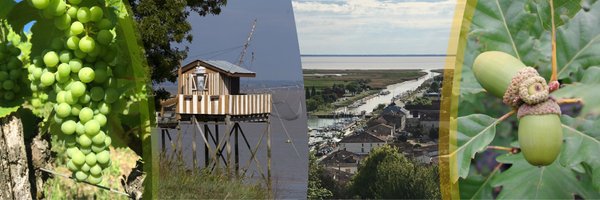 labexCOTE Profile Banner