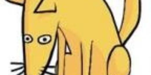 caranot's profile banner image