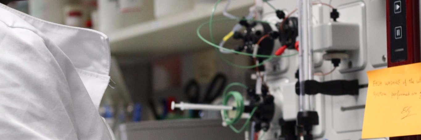 Elisabetta Verderio Edwards banner