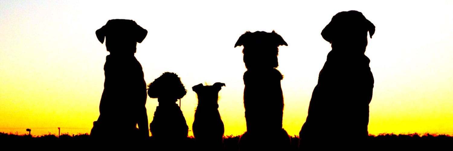 3103ae's profile banner image