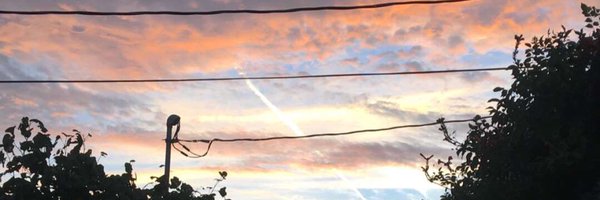 stephdc Profile Banner