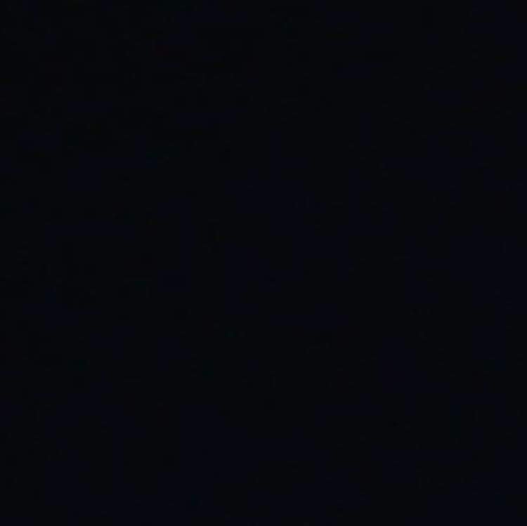 PupAe_W's profile banner image
