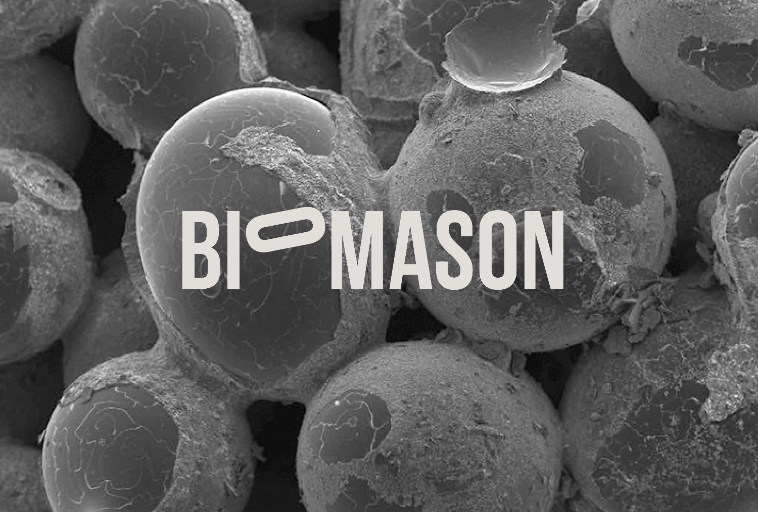 Biomason banner