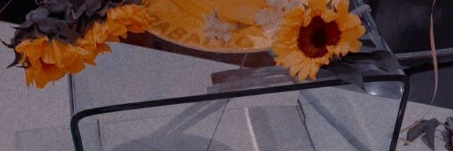 Paballo moroke banner