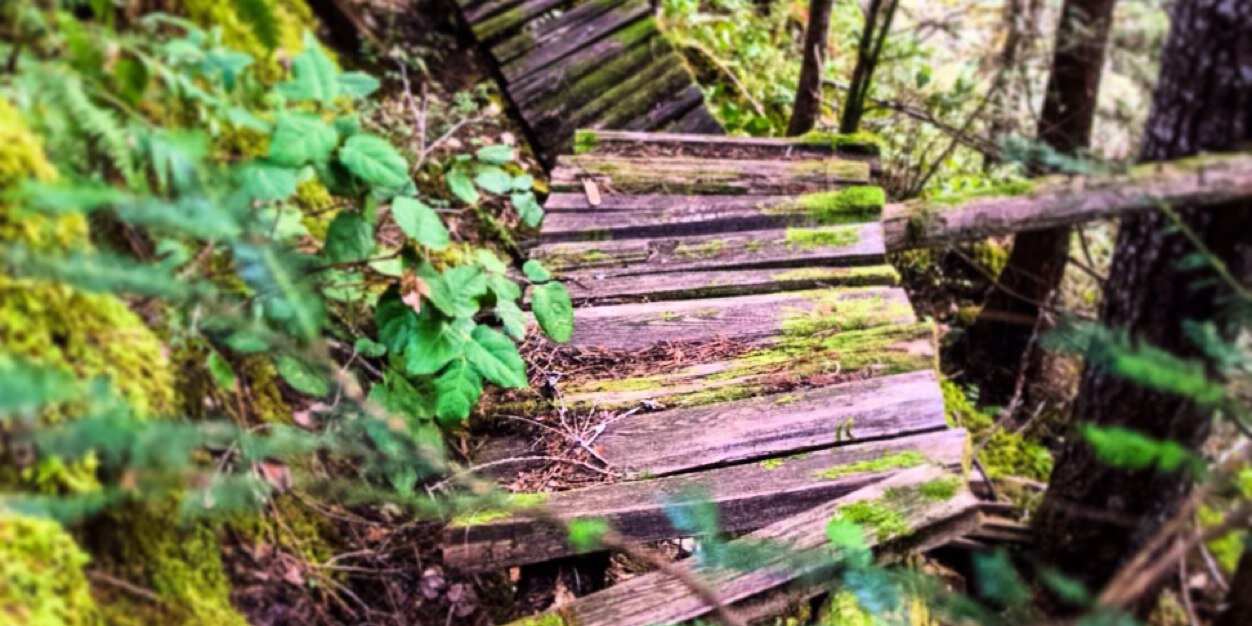 cvmtb's profile banner image
