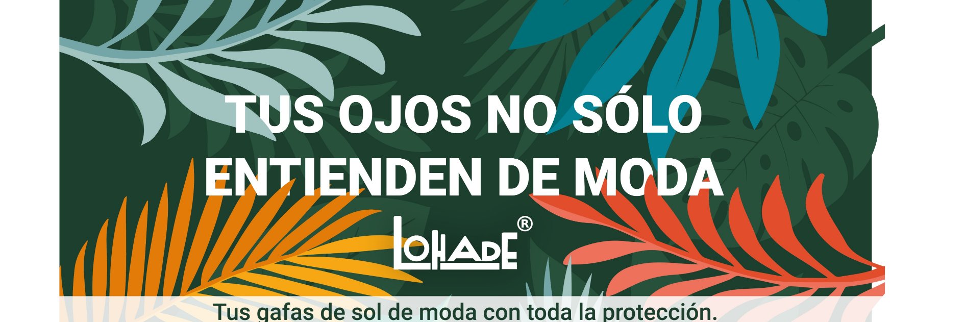 Lohade_optica's profile banner image