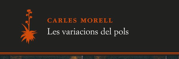 carlesmorell31 Profile Banner