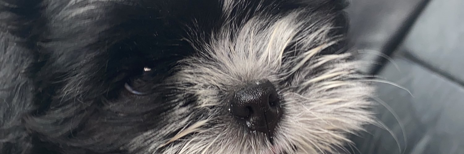 LadyShot_'s profile banner image