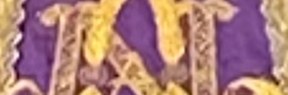 ana maria moracho banner