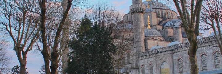 MsWa3ad1's profile banner image