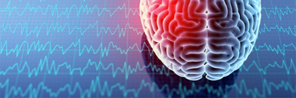 neurosushi's profile banner image