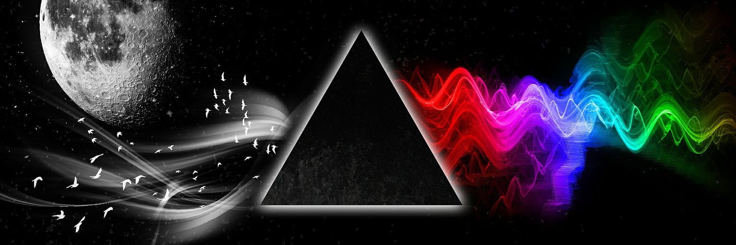 ankararinca's profile banner image