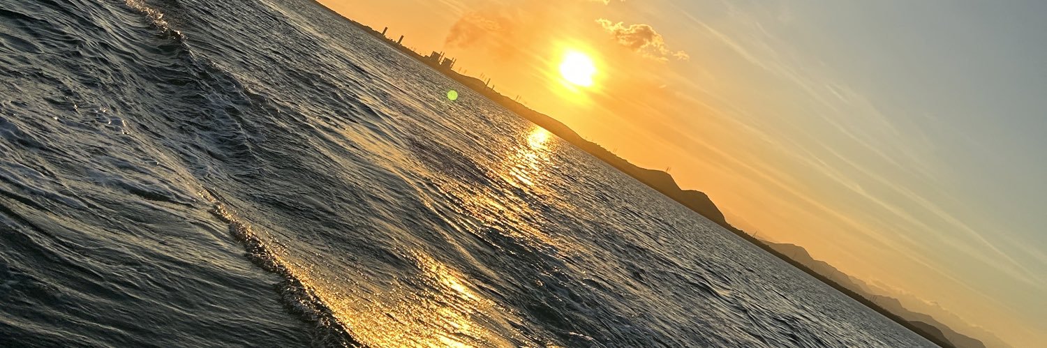 Ssn1_0's profile banner image