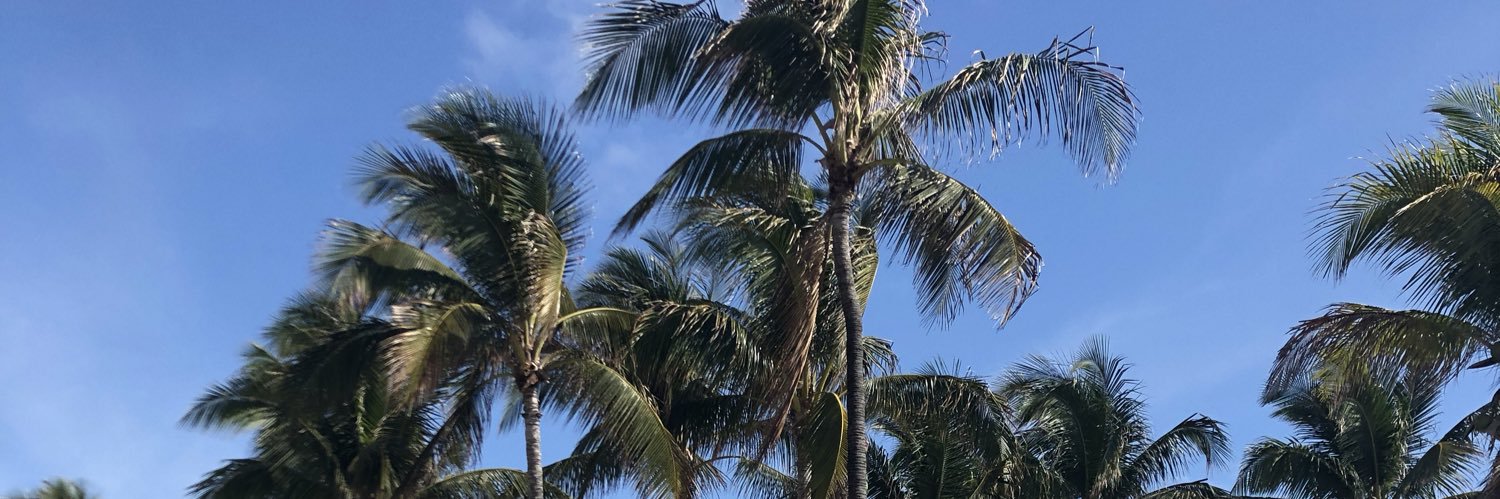 matti9233's profile banner image