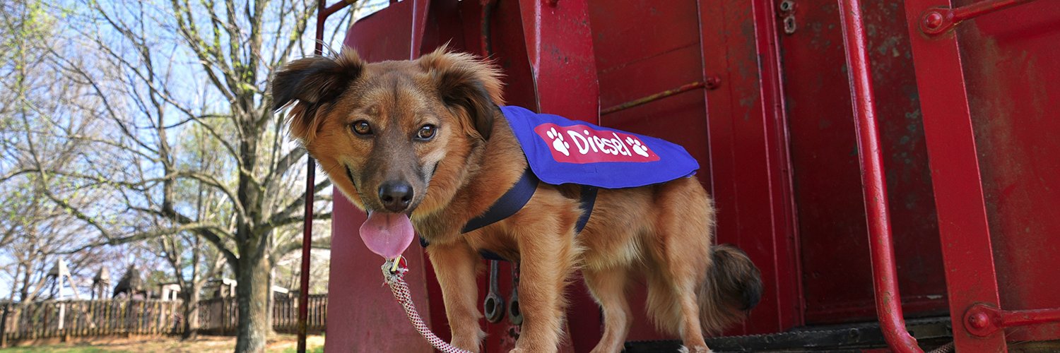 PlanningPup's profile banner image