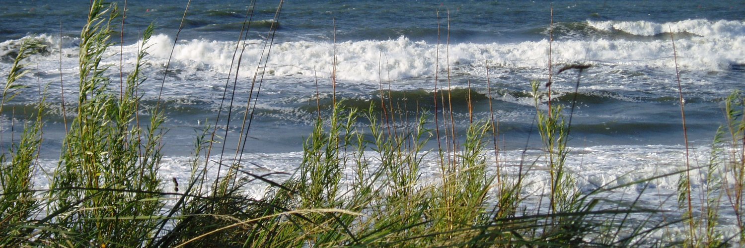 Witold Bałażak banner