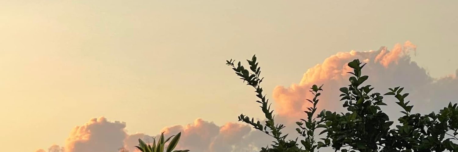 ณฐ₊˚⊹ 🐈‍⬛🌊 banner