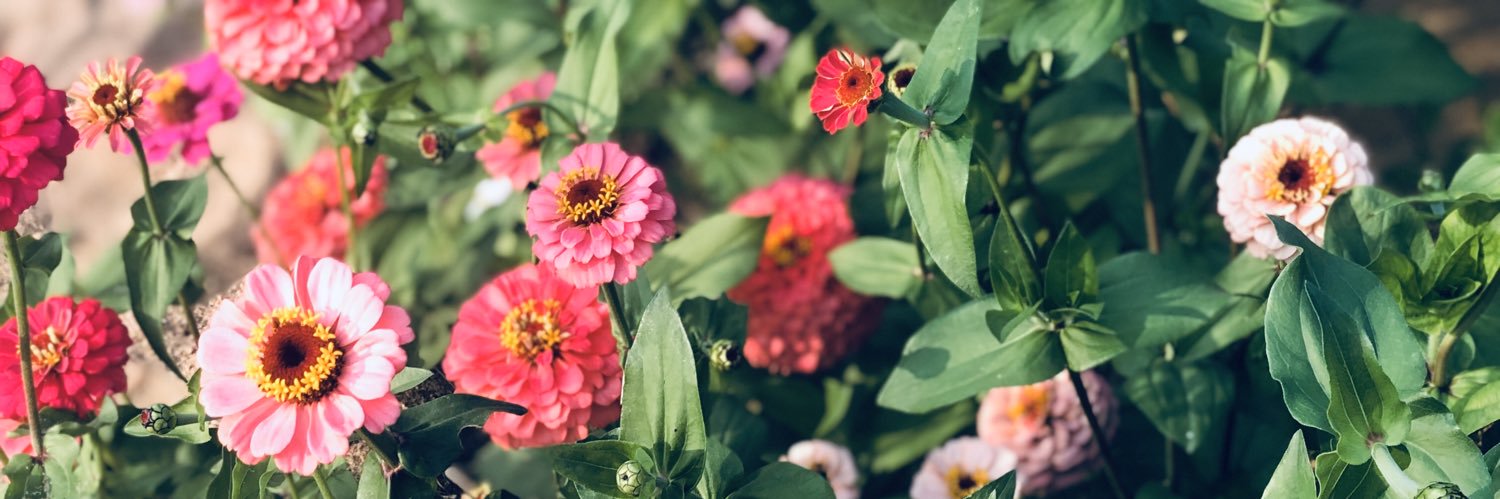 Rosalind710's profile banner image