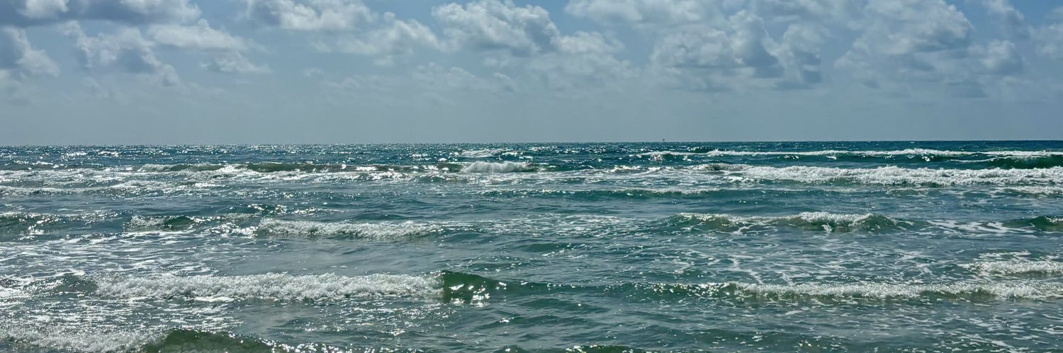 Scott FN Scar banner