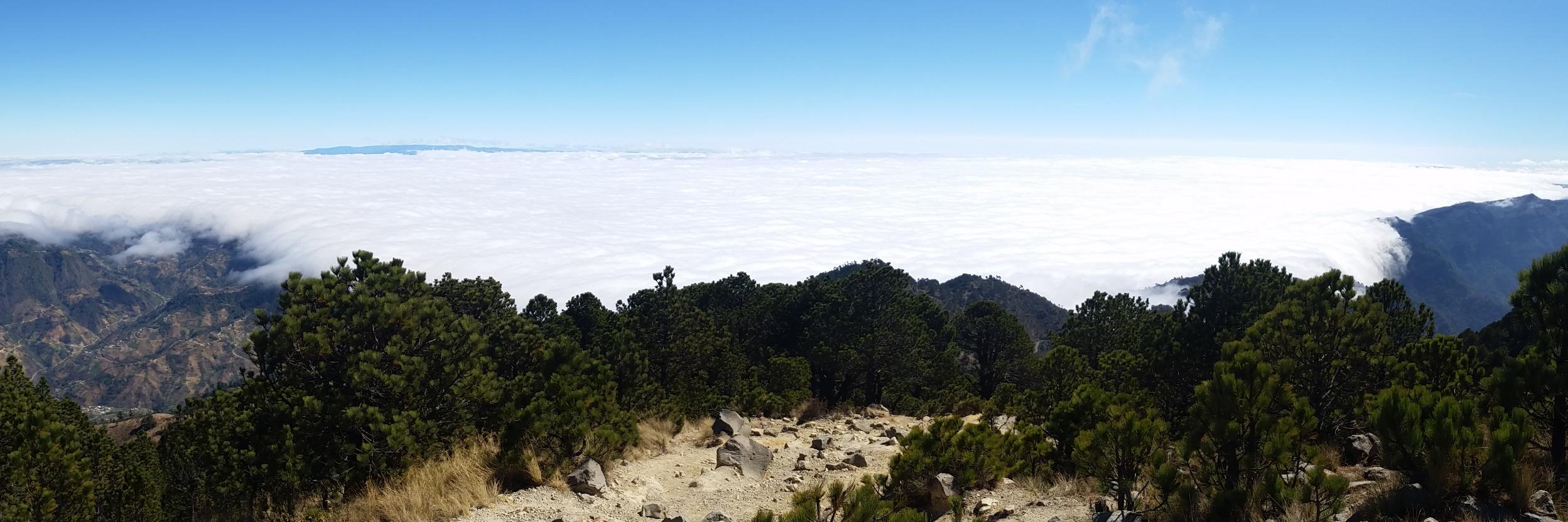 Andy Berryann banner