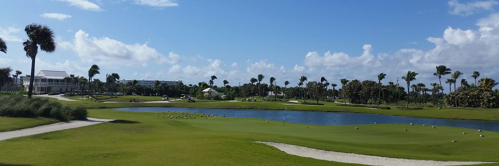 Barbara Malone banner