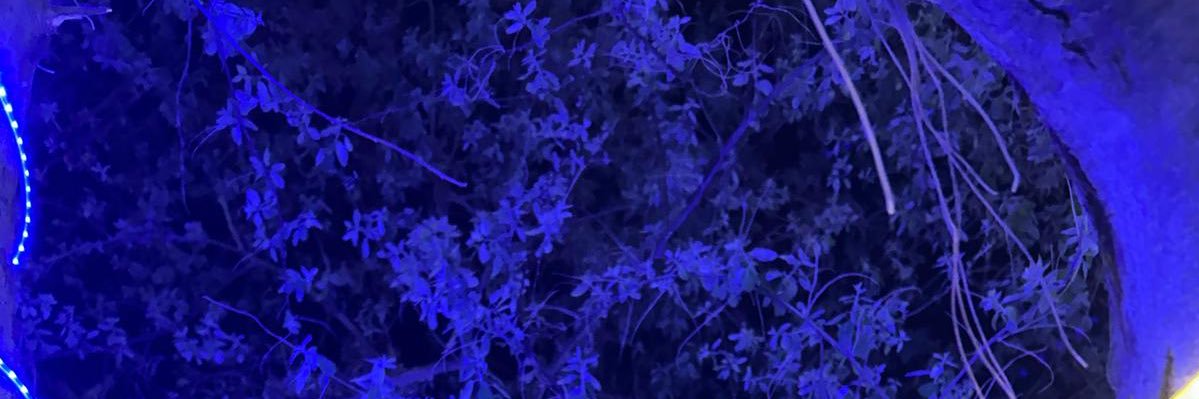 ShaizaTweets's profile banner image