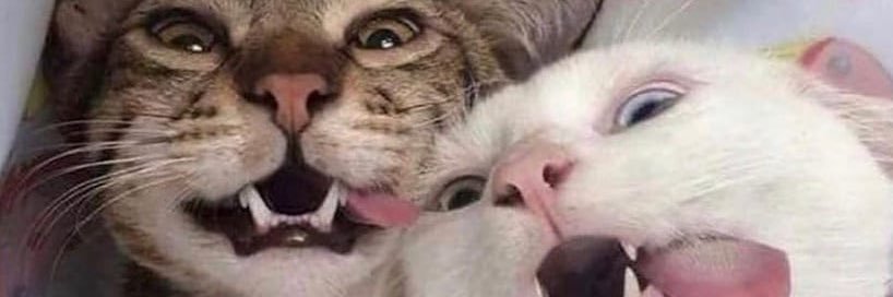 Octavio Gomez Ferrer banner