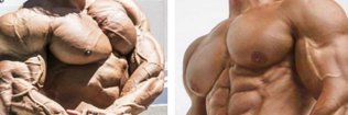 Nips & Pecs banner