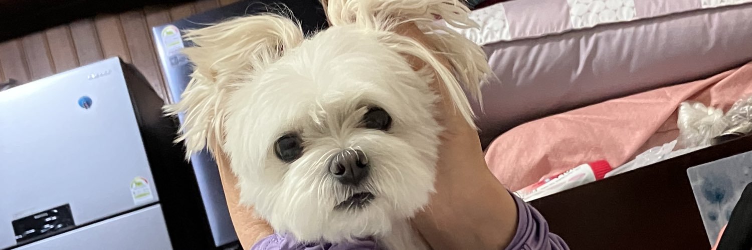 dobob1022's profile banner image