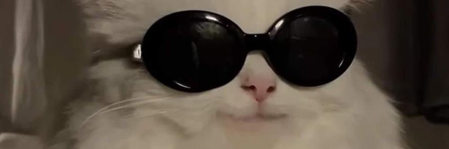 Miss_Cute_Cat's profile banner image