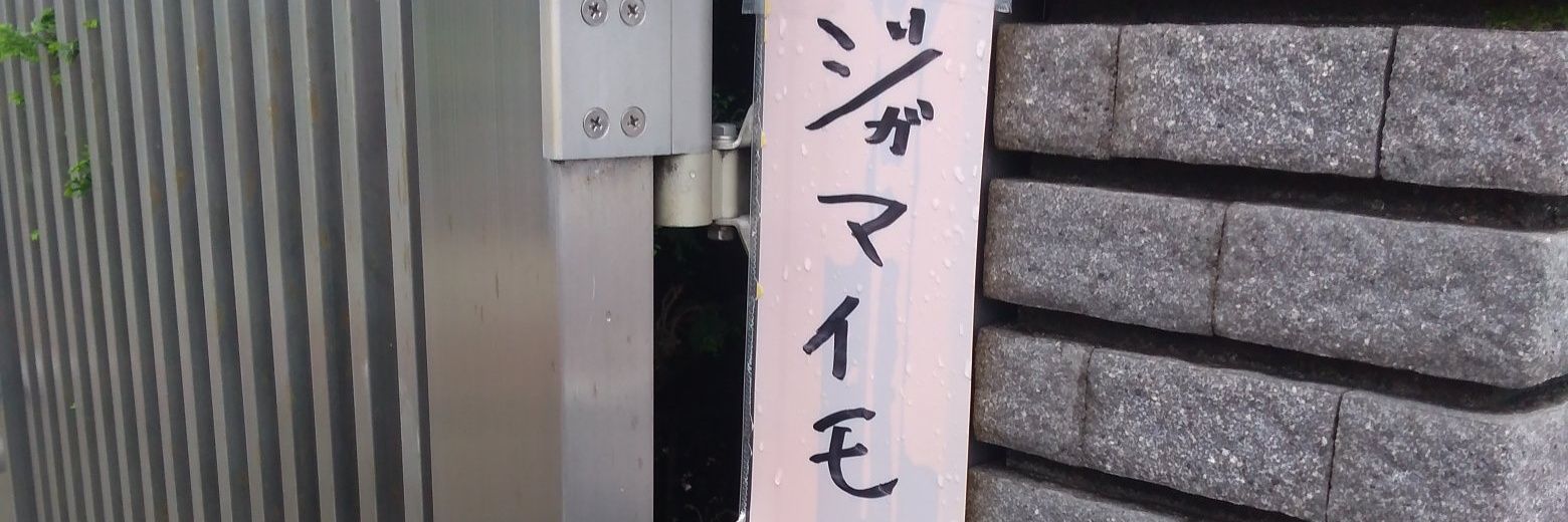 オシシ仮面＜ｸﾞｪｰｯ banner