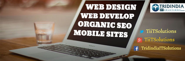 TiitSolutions Profile Banner