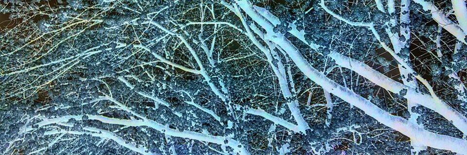 endlessly_xxx's profile banner image