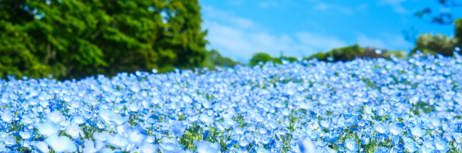 juusan_go's profile banner image