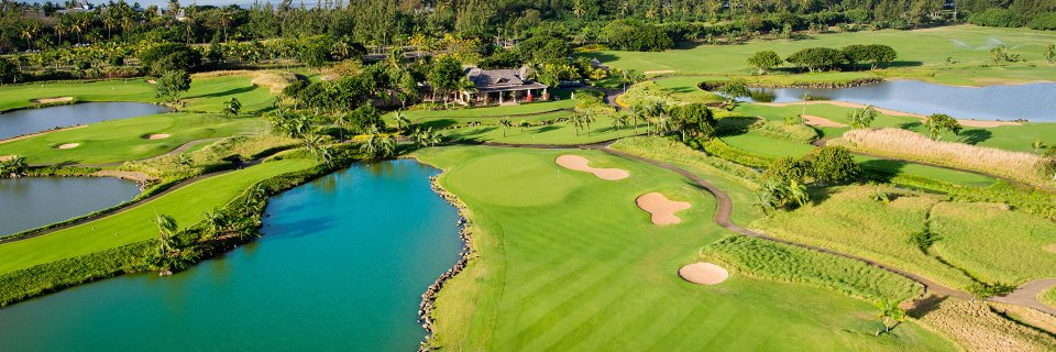 Matthew Biddle banner