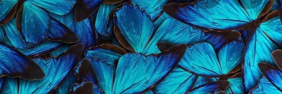 1angelaruiz5's profile banner image