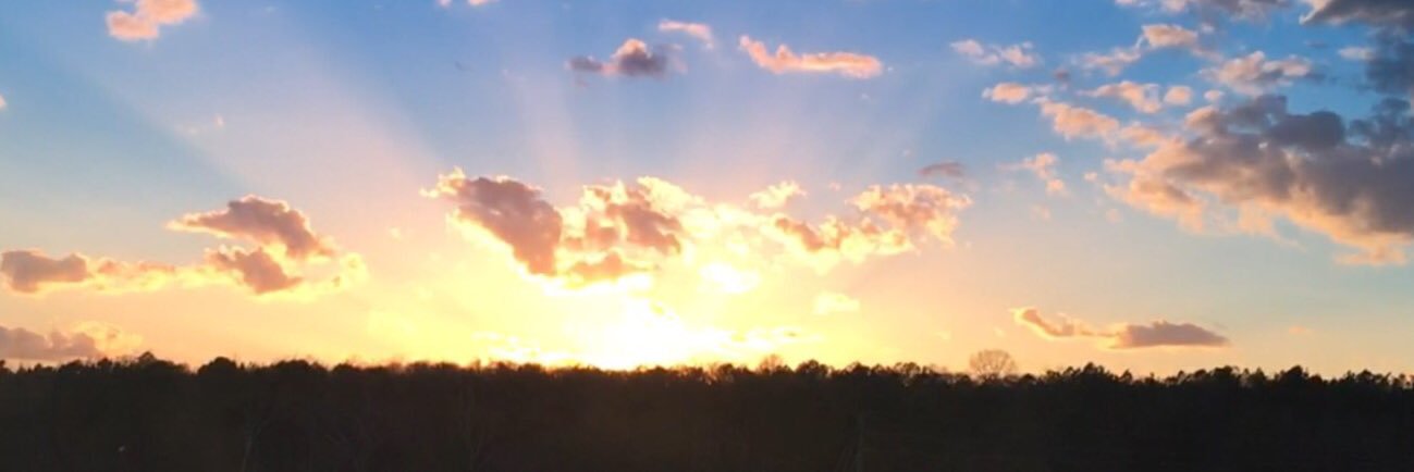 WayneWilliamsAL's profile banner image