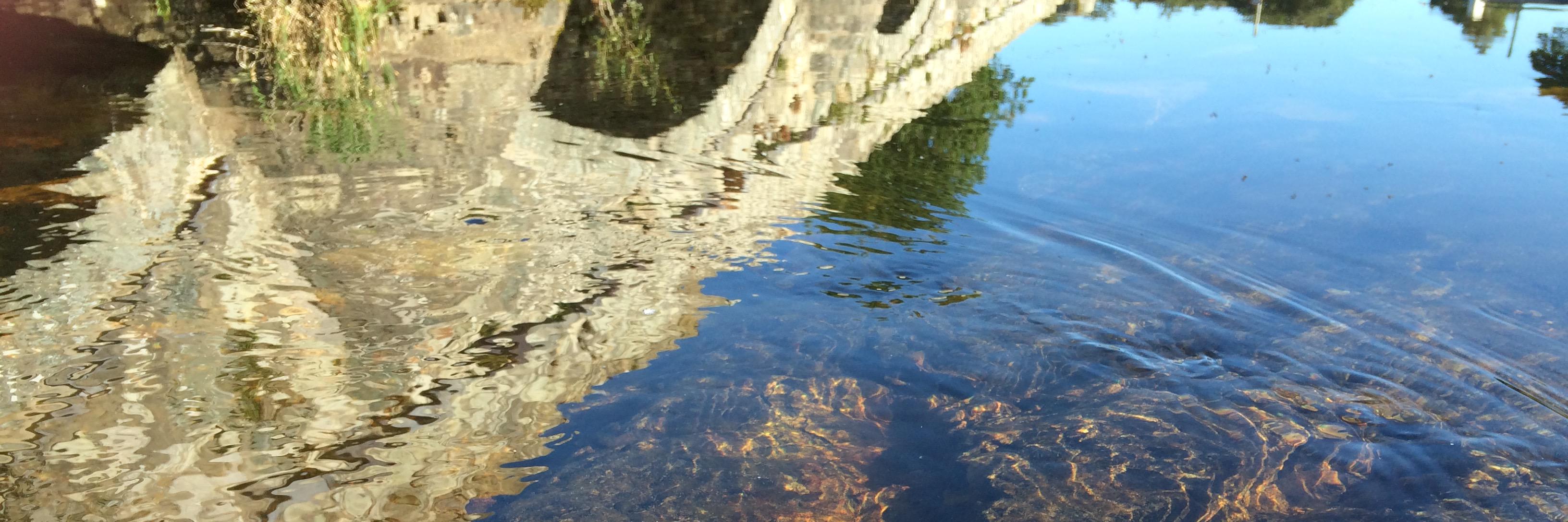 llynpadarn's profile banner image