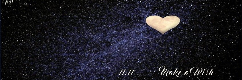 SnooksWilder's profile banner image