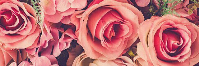 BrunaFreitasM's profile banner image