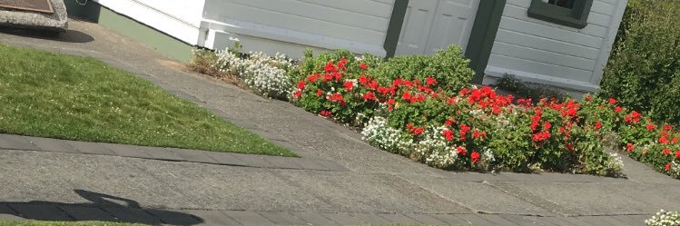 BriskWtf's profile banner image
