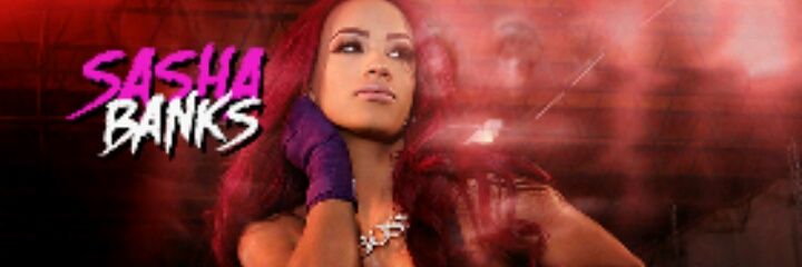 Elijah steele banner