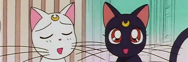 CrownTheKitten's profile banner image