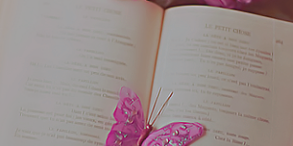 ha20061's profile banner image