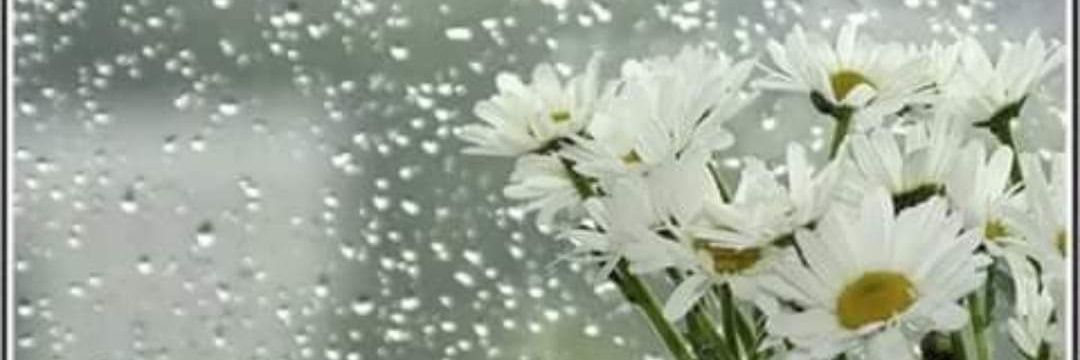 muratdagier's profile banner image